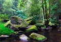 paysage 01_10_11n01